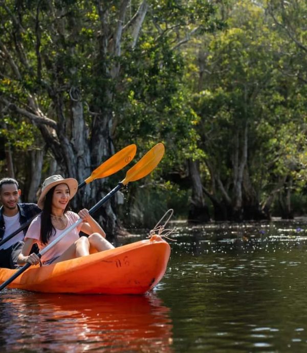 Mangrove River Cruise